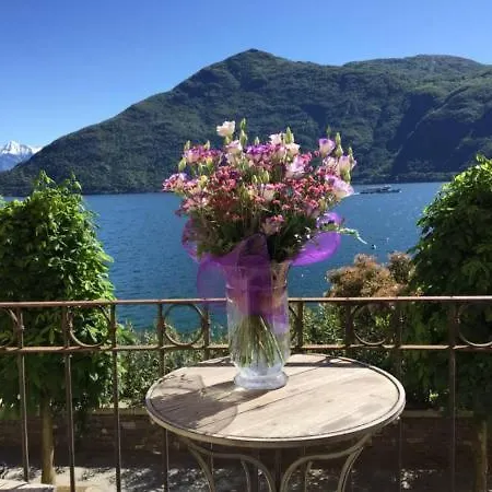 Apartment - Vista - Luxury