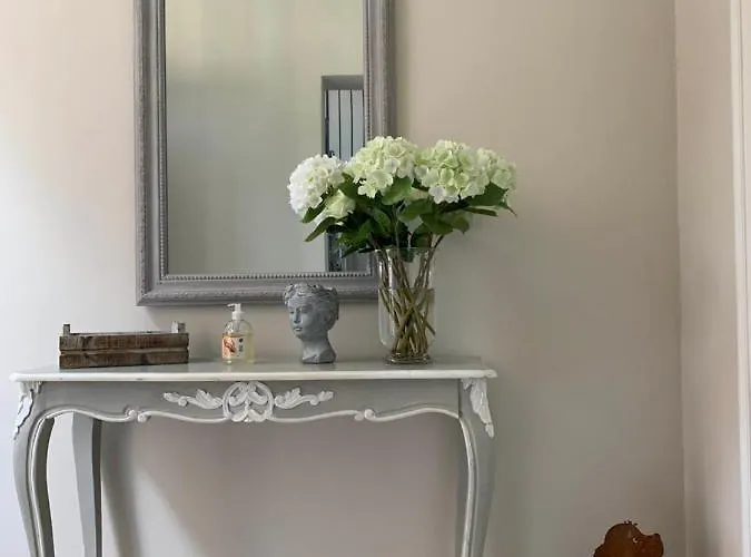 - Vista - Luxury * 카노비오